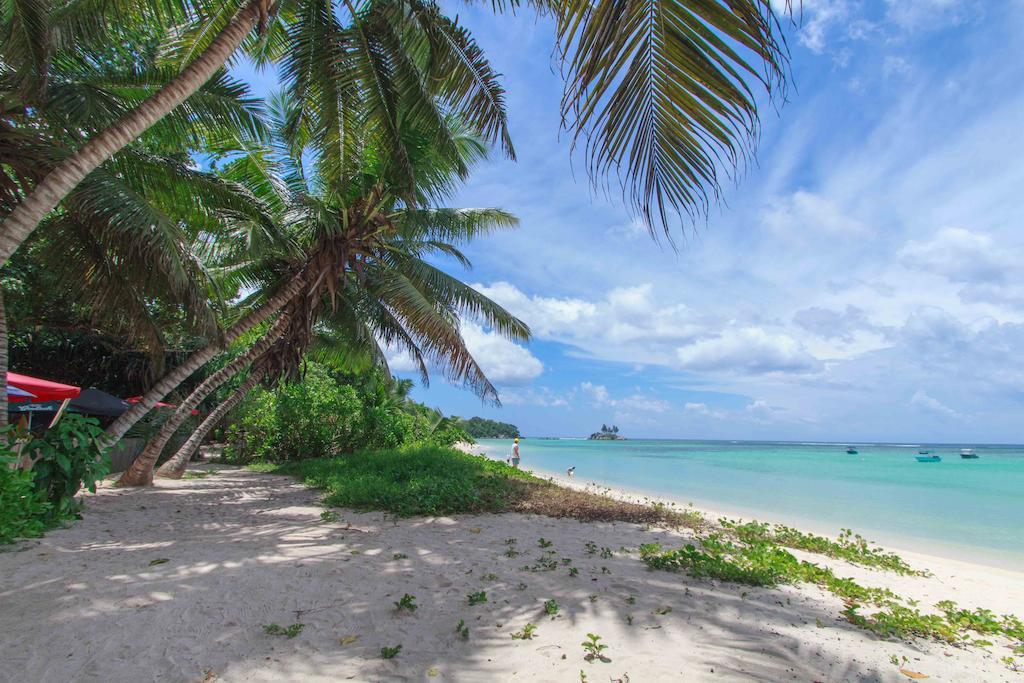 Coco Blanche Lägenhet Anse Royale Exteriör bild